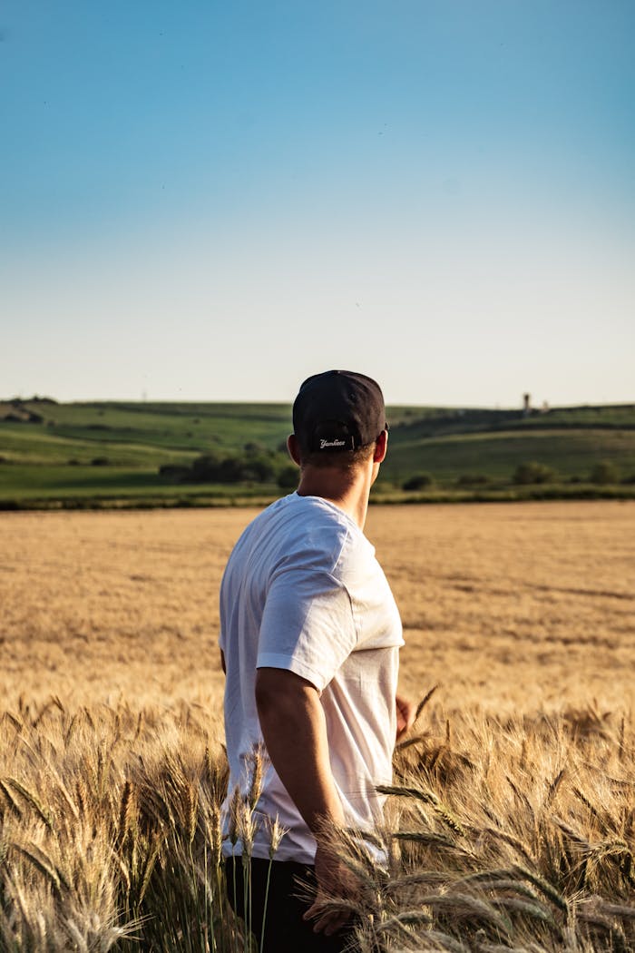 A man stands in a lush wheat field under a clear blue sky, embodying rural tranquility.
